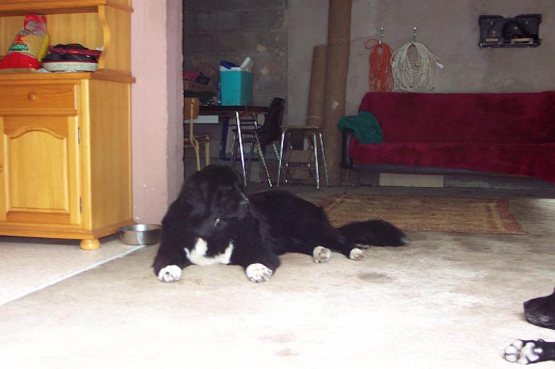 15-08-2003++12.jpg