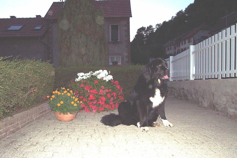15-08-2003++4.jpg