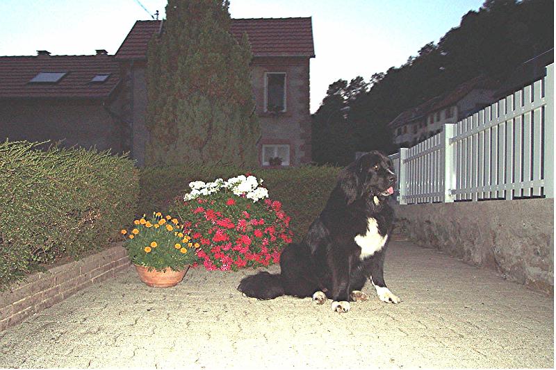 15-08-2003++5.jpg