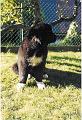 scan0024